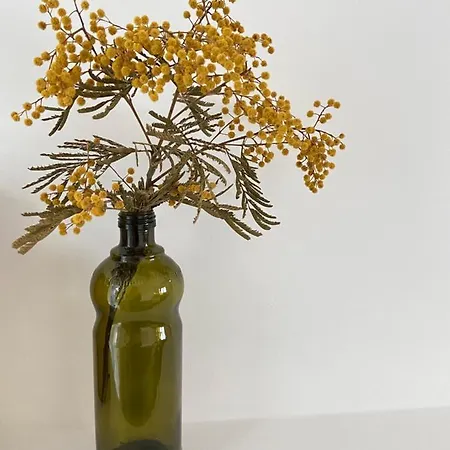 Les Jardins De Bed & Breakfast Mimizan