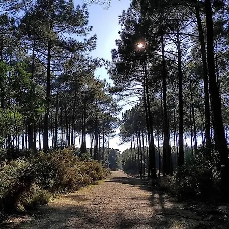 Bed & Breakfast Les Jardins De Mimizan