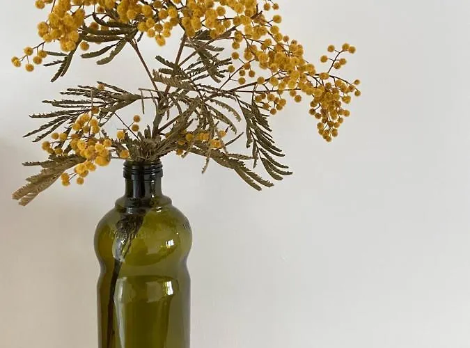 Les Jardins De Bed & Breakfast Mimizan