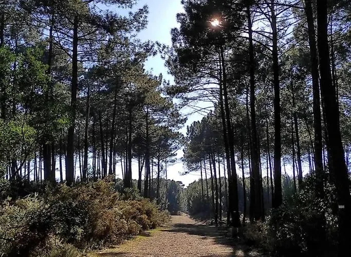 Bed & Breakfast Les Jardins De Mimizan