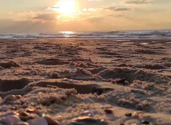 Les Jardins De 3* Mimizan